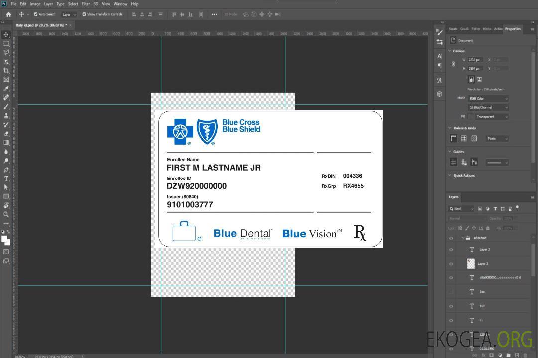 Carte d'assurance maladie Blue Cross Blue Shield des États-Unis template Carte d'assurance maladie Blue Cross Blue Shield des États-Unis template